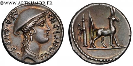 Plancia - Denier