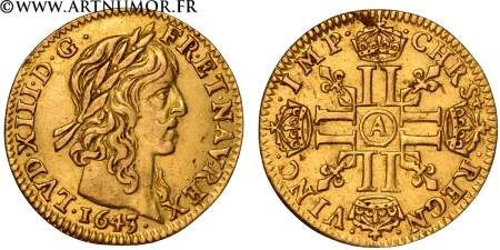 Louis XIII - Demi louis...
