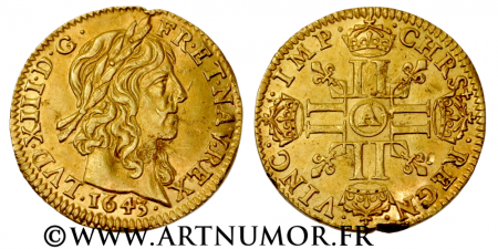 Louis XIII - Demi louis d'or à la mèche longue, 1643 A Paris